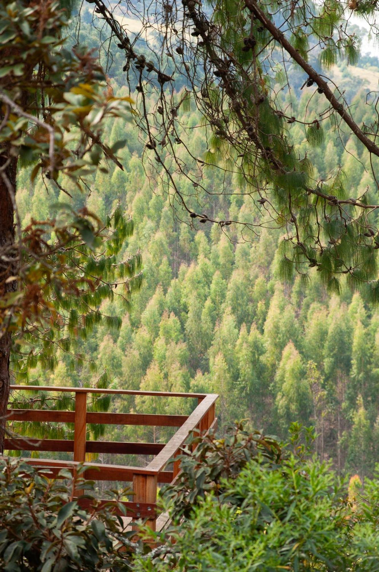 Pousada Recanto Do Saua - Monte Verde Monte Verde  Eksteriør billede